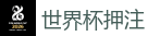 FIFA世界杯 (FIFA World Cup)官方竞猜指定平台